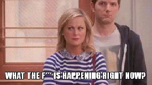 leslie knope what is happening 16 Leslie Knope GIFs to get you through election night