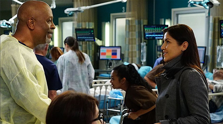 webber and winnick Greys Anatomy midseason finale: Is Amelia gone forever?