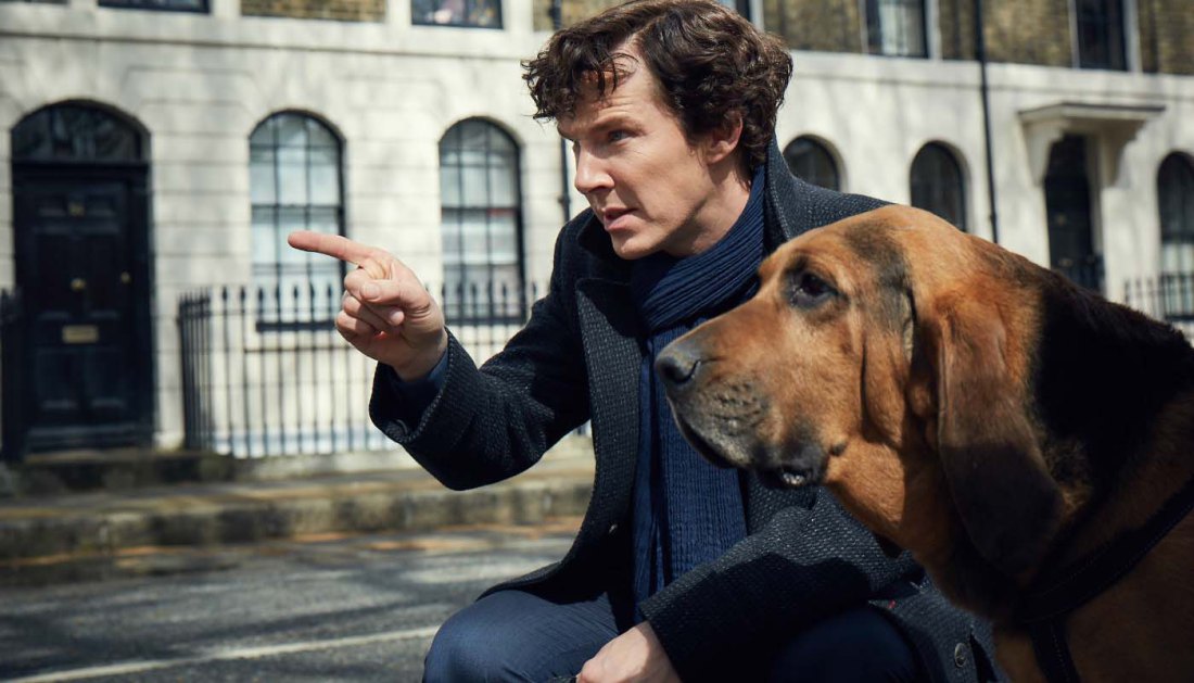 sherlock season 4 bloodhound 4 pressing Sherlock questions leading into the Season 4 premiere