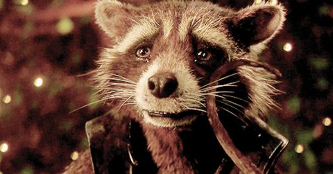 Rocket Racoon - Guardians of the Galaxy