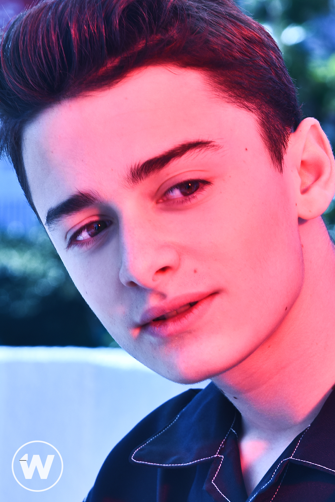 Noah Schnapp, Stranger Things