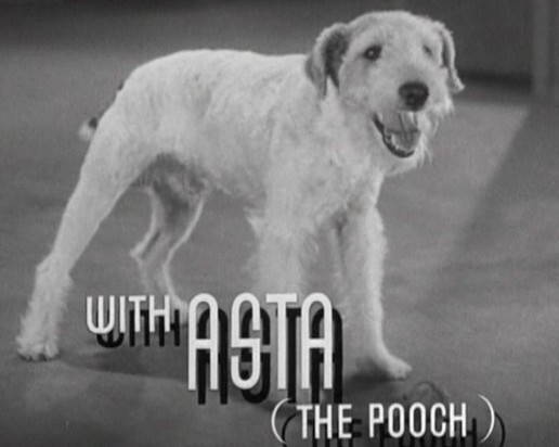 Asta After the Thin Man