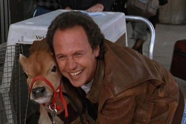 city slickers norman billy crystal